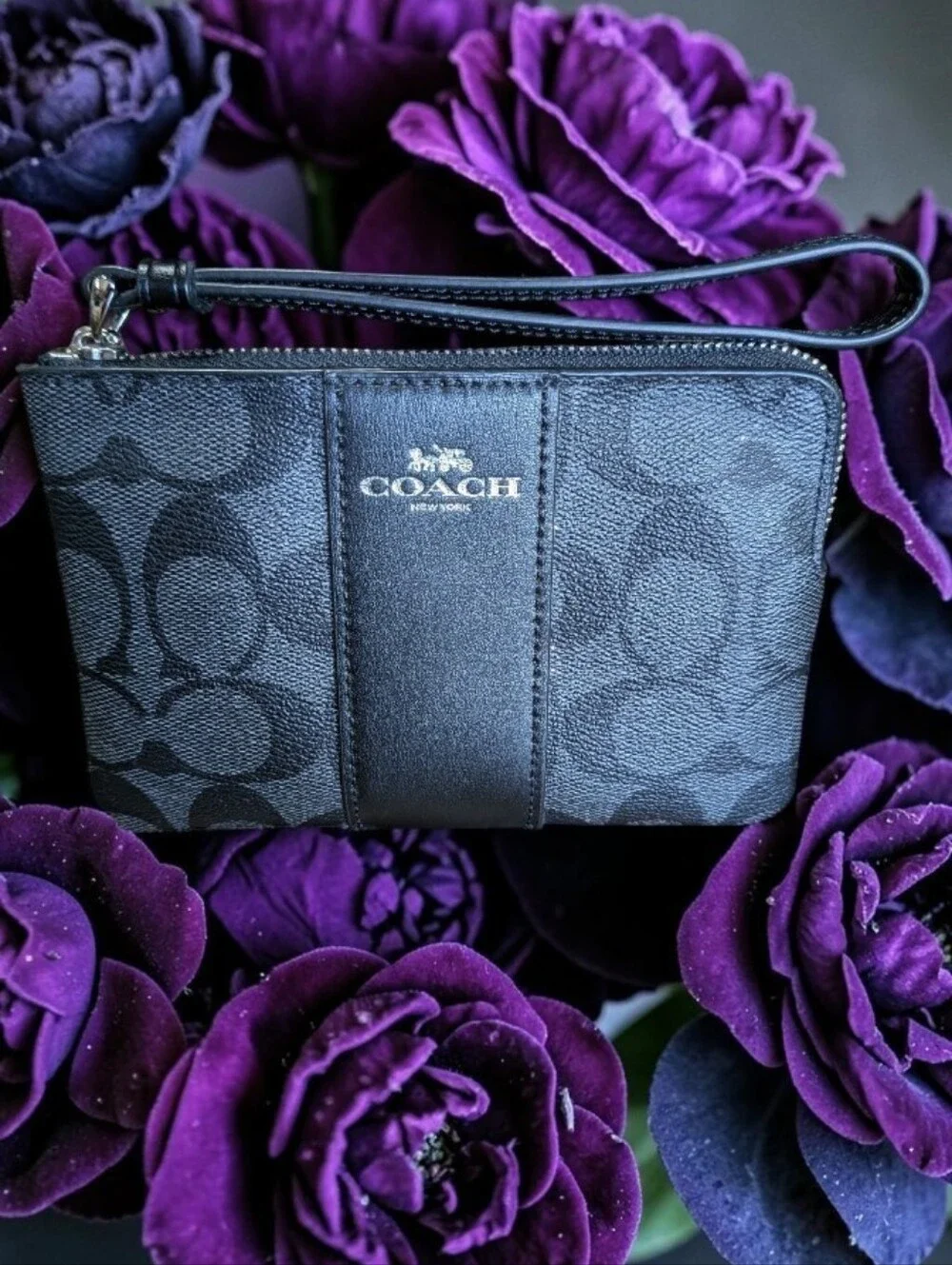 Coach Black Signature Zip Wristlet